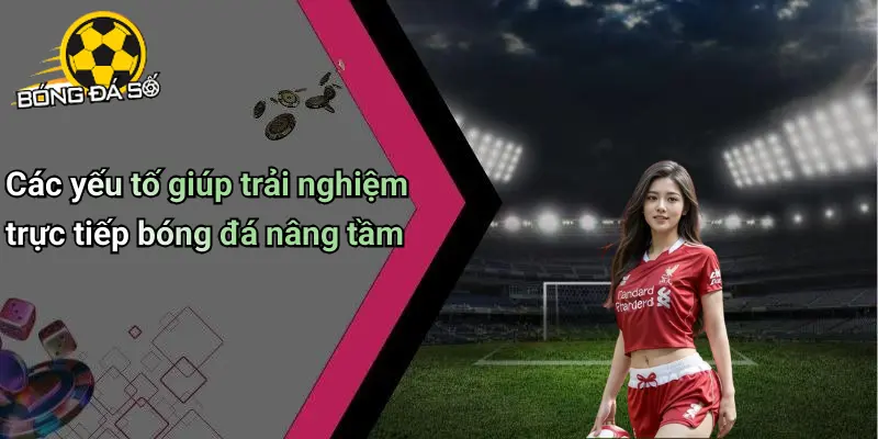 Trực Tiếp Bóng Đá