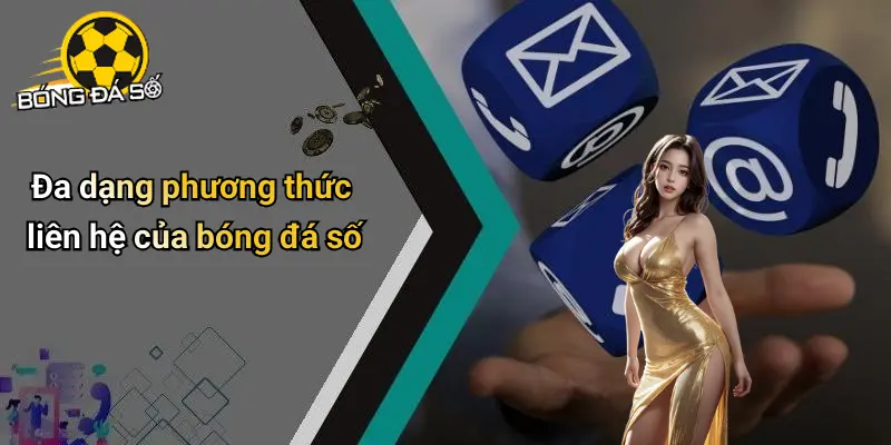 Liên hệ