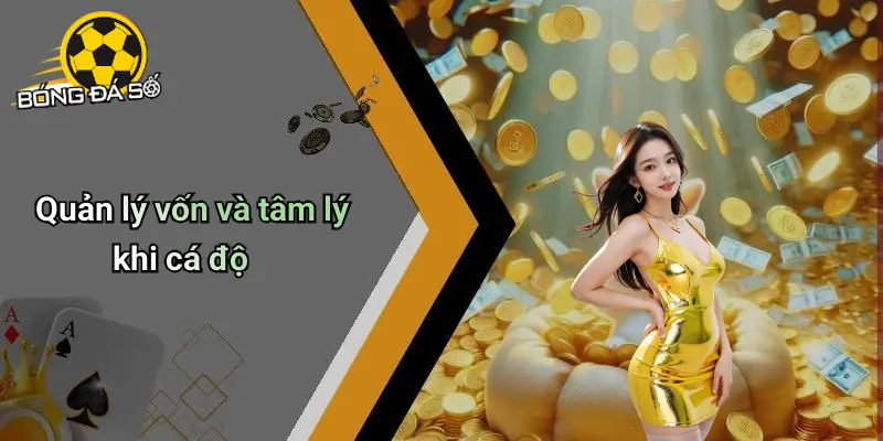 Mẹo Thắng Nhà Cái Trong Cá Độ: Hiểu Đúng, Chơi Khôn, Đặt Chuẩn 3 Mẹo Thắng Nhà Cái Trong Cá Độ