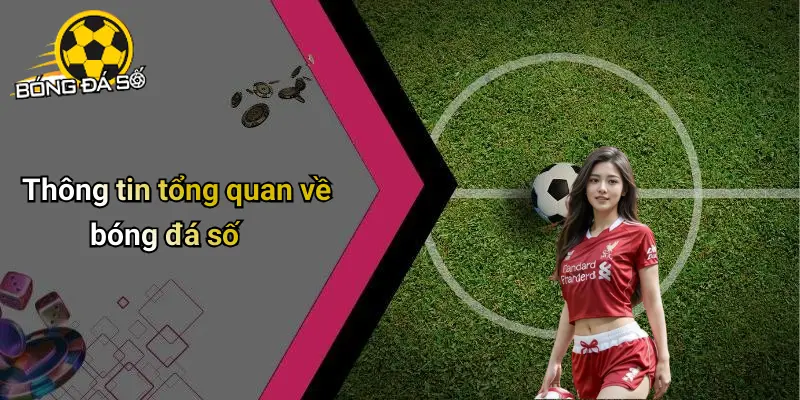 Bóng Đá Số: Không Gian Cá Cược Thể Thao Đỉnh Cao Trực Tuyến 67 Bóng Đá Số