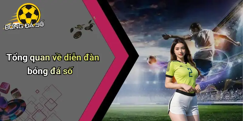 Giới Thiệu