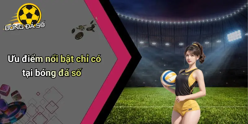 Giới Thiệu