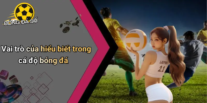 Mẹo Thắng Nhà Cái Trong Cá Độ: Hiểu Đúng, Chơi Khôn, Đặt Chuẩn 1 Mẹo Thắng Nhà Cái Trong Cá Độ