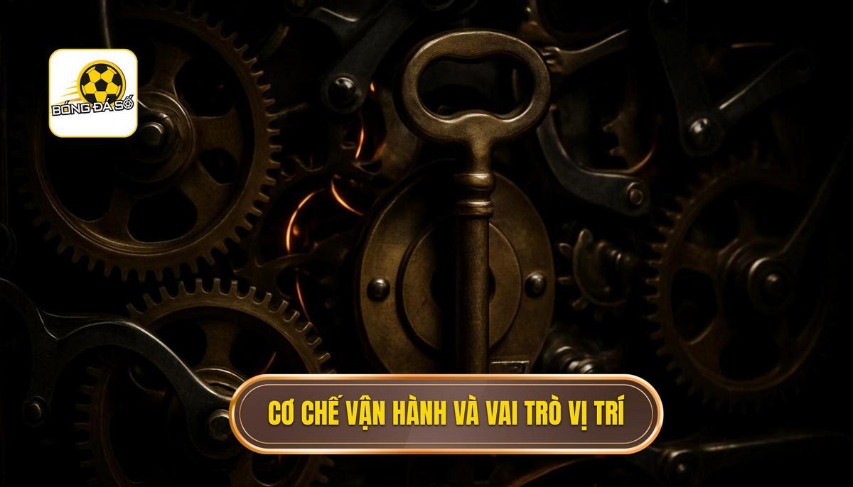 Cơ chế vận hành và vai trò của các vị trí trong sơ đồ