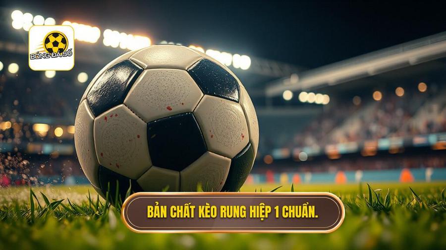 Bản chất kèo rung hiệp 1 chuẩn.