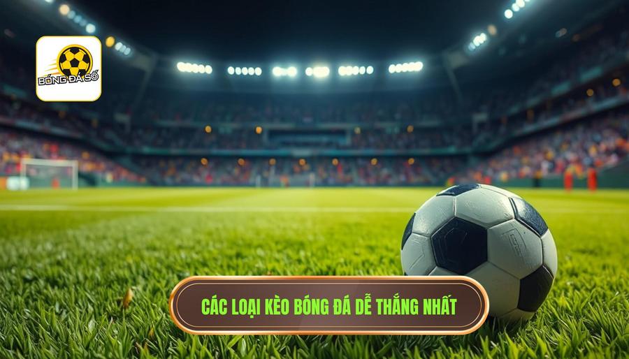 Top các loại kèo bóng đá dễ thắng nhất hôm nay bạn nên lựa chọn